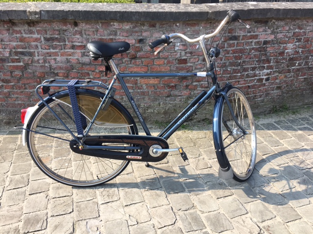 Gazelle