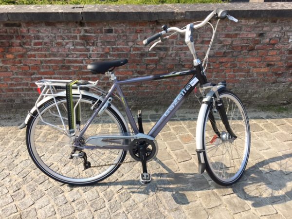 gazelle medeo pure