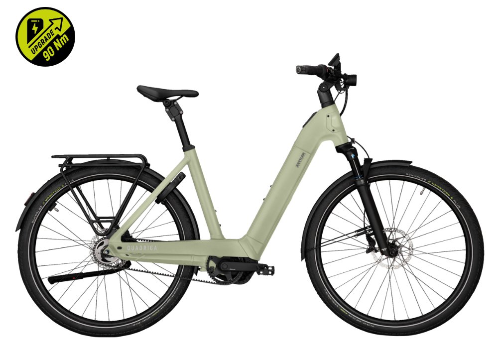 Kettler QUADRIGA PX5 FL Incl. 600 Wh accu Heidegroen Mat